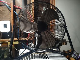 Fan
