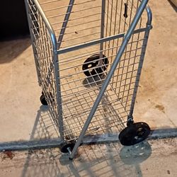 Grocery Cart