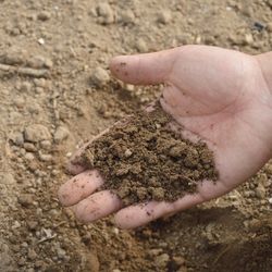 Clean Dirt 