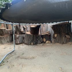 Tree Stumps Fife Fire Wood Free