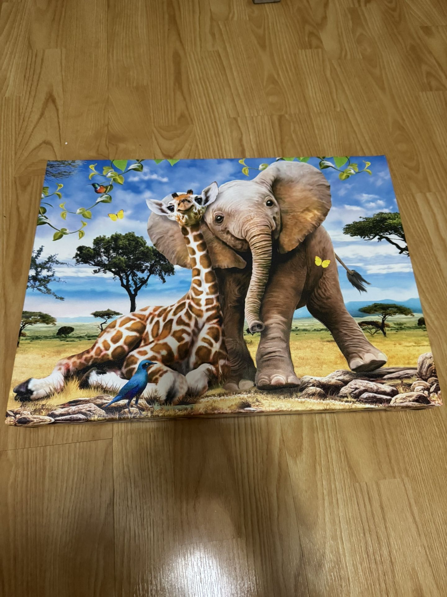 Baby animal Canvas Print