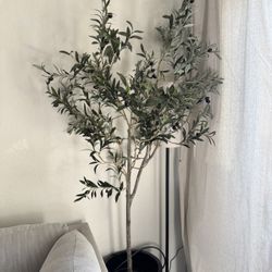 Faux Olive Tree 