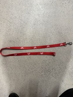 Nike SB dog leash