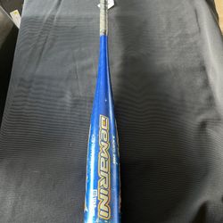 Wilson Demarini D-Max -7 Youth Baseball Bat