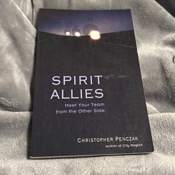 Spirit Allies: Meet Your Team from the Other Side