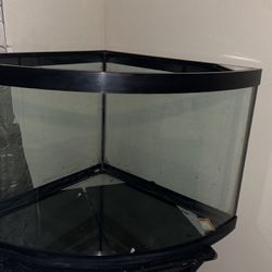 60 Gallon Corner Fish Tank No Leaks 