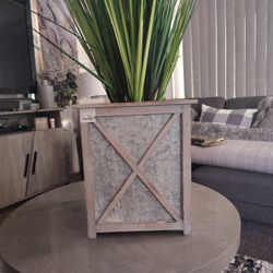 Indoor Plant Decor