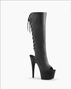 Pleaser boots Ado2018 black size 10

$75