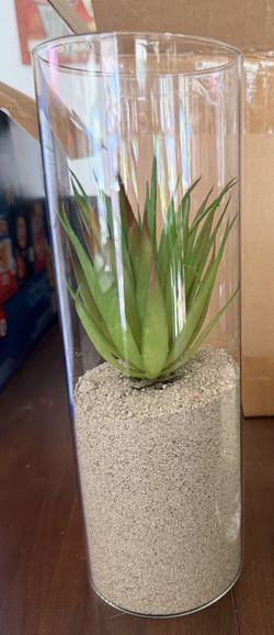 Event decor clear cylinder vases filled with sand and faux succulents