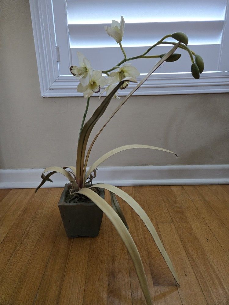 Fake Orchid Plant