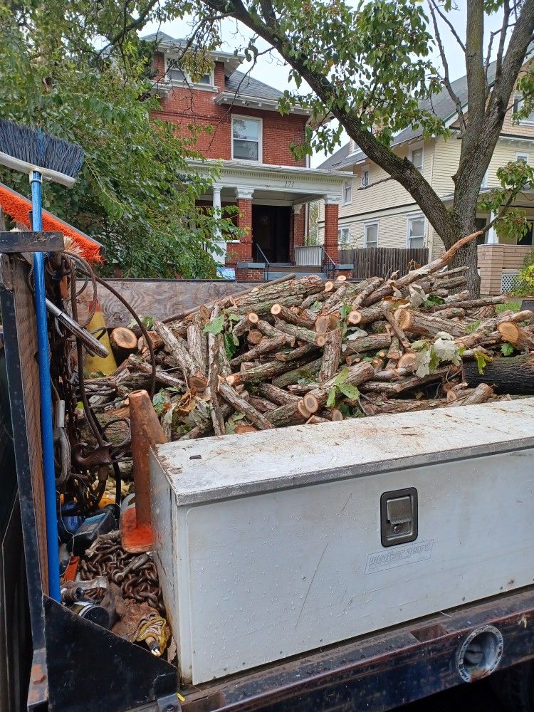Oak Fire Wood. 200 delivered