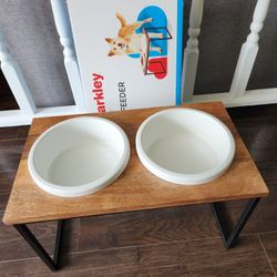 Dogs Plate 