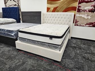 New Queen 5094 DAPHNE BED bed frame special sale