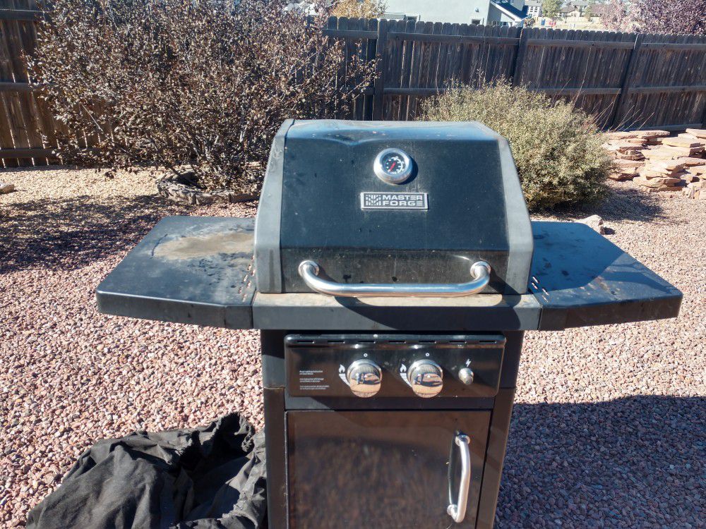 Two burner gas grill