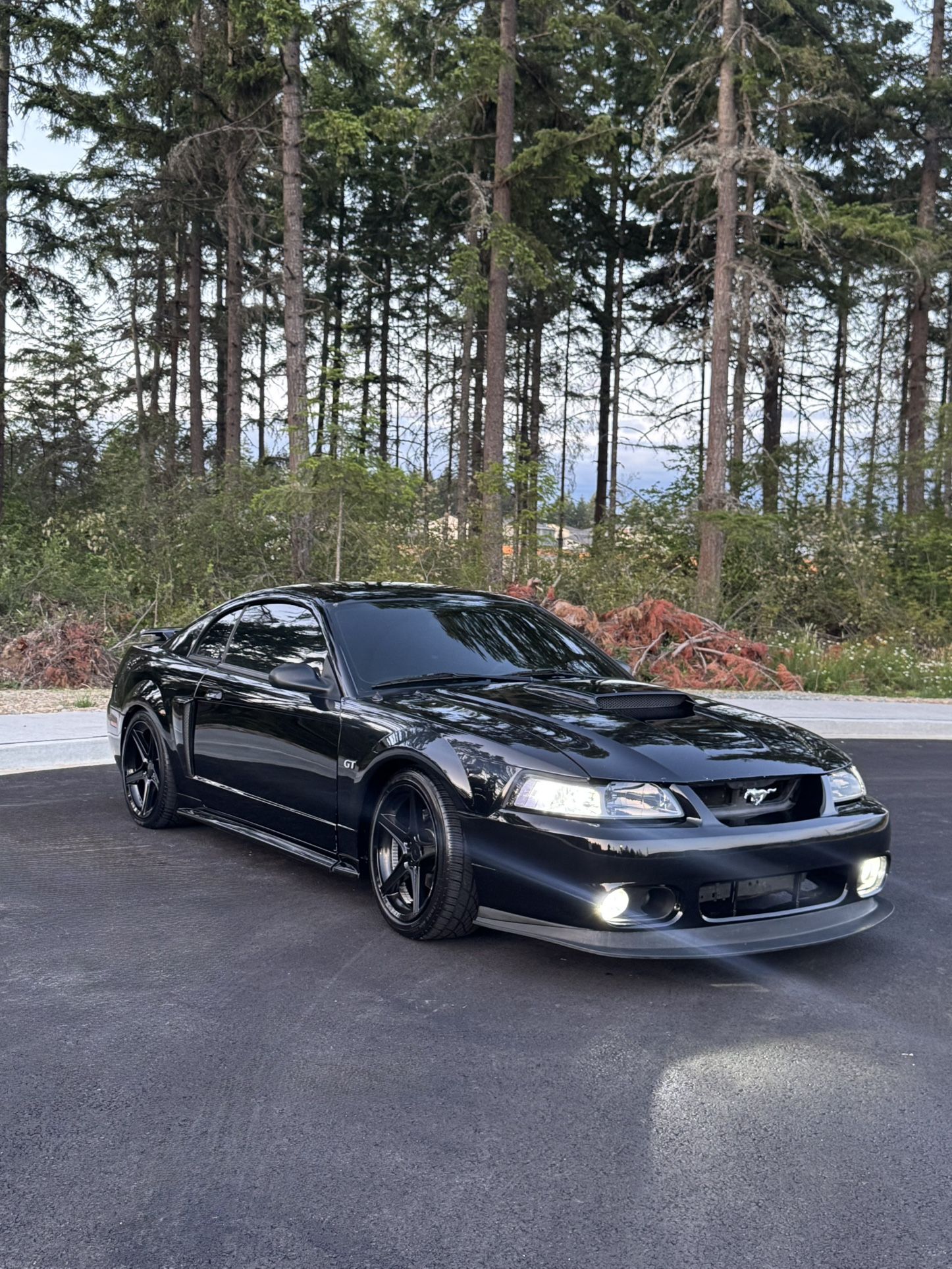 2002 Ford Mustang