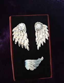 ANGEL WINGS COMBO