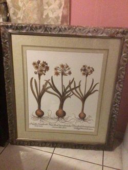 Beautiful Wall Frame 