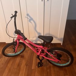 Guardian Girls 16 Inch bike Pink 
