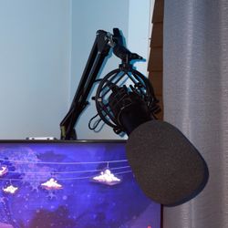 Studio Microphone With Stand 