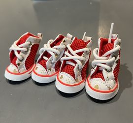 Dog Shoes