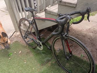 Specialized Tarmac Expert Road Bike