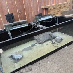 Estank For Fish Or Turtle 