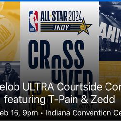 Zedd and T-Pain NBA All Star Concert