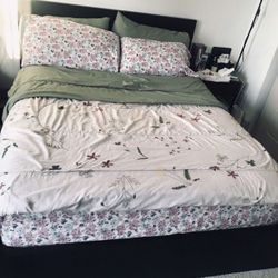 IKEA Queen Bed Frame + Mattress 