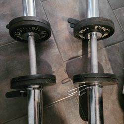 12lbs Dumbells Weights 