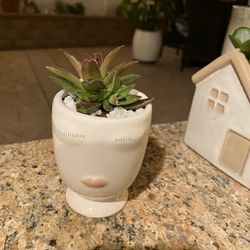 Succulent Girl Face Pot
