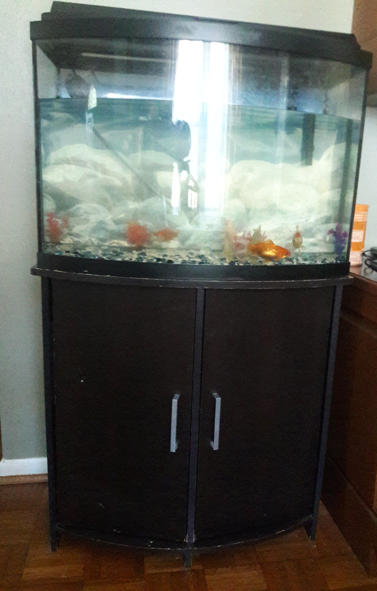 Fish tank