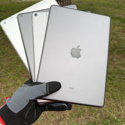 iPads 5 / 6 / 8 / Pro