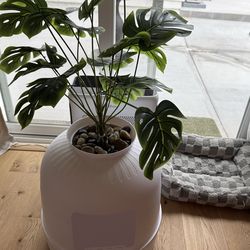 Plant Cat Litter Box, Hidden Enclosure with odor control & carbon filter