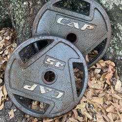 45lb Plates 