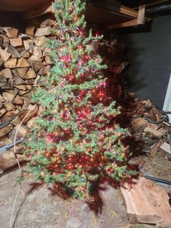 Free Christnas Tree. Lights Still Work