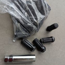 Wheel Lugs Set 14mm X 1.5