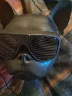 Speaker