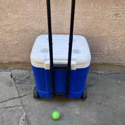 Cooler