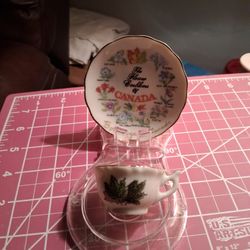 VINTAGE FLOWER EMBLEMS OF CANADA CERAMIC TEA CUP AND SAUCER SET MADE IN JAPAN 