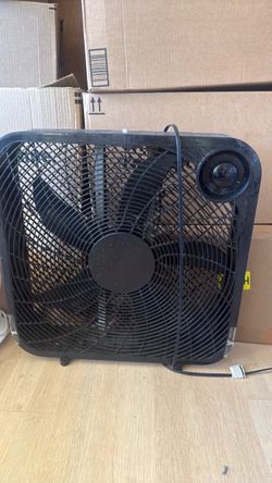 Fan