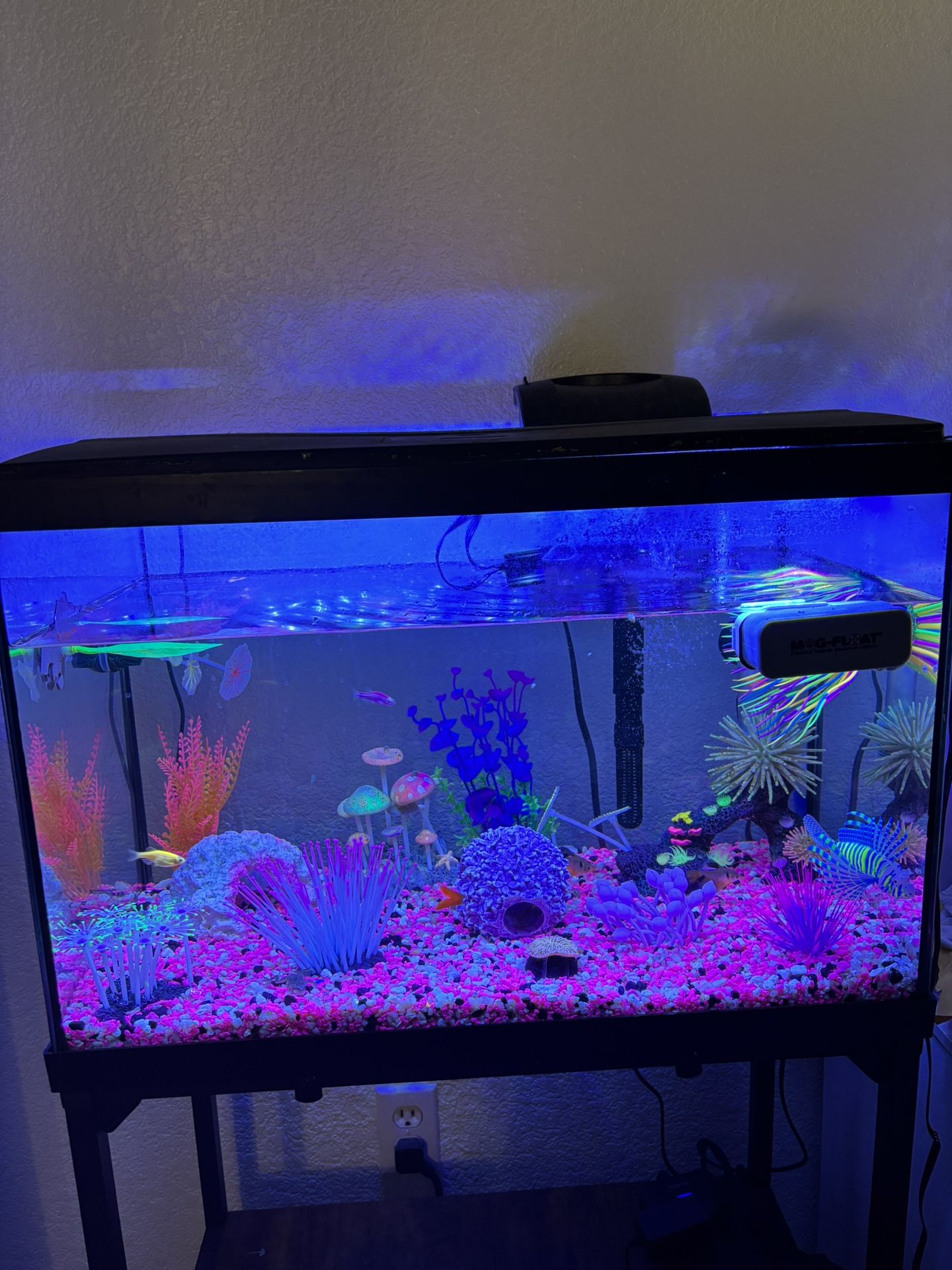 20 Gallon Fish Tank And Stand