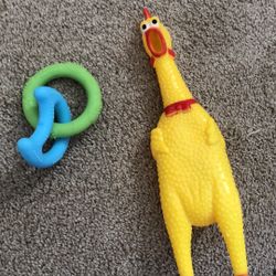 Pet Toys 