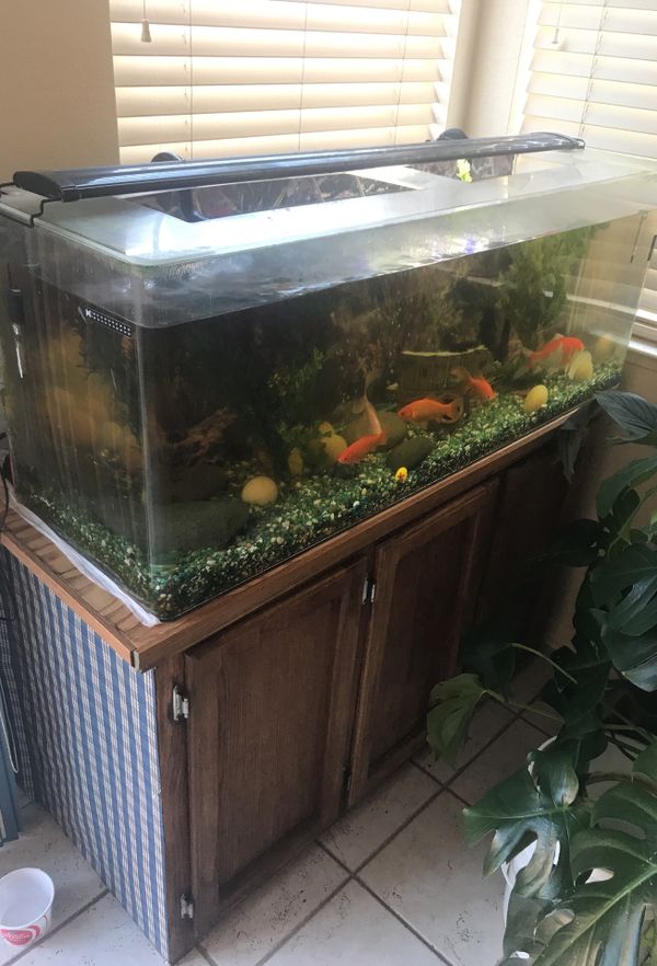 70 gallon plexiglass fish tank everything included for Sale in Elk
