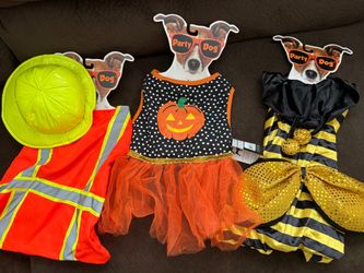 Halloween costume large