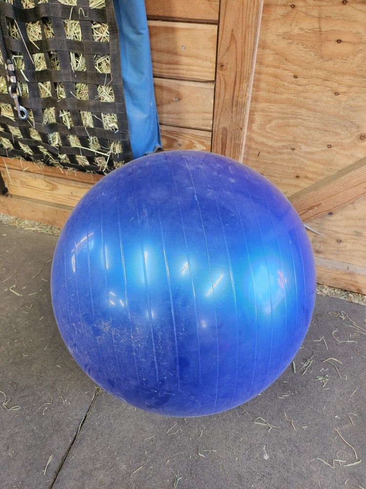Horse Balls. Two. 25 Inches.