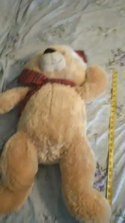 Large Teddy bear