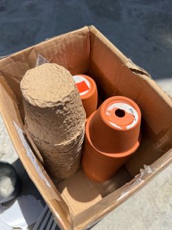 Planting garden basics