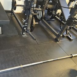 Stainless Steel Rogue Pyrros Bar