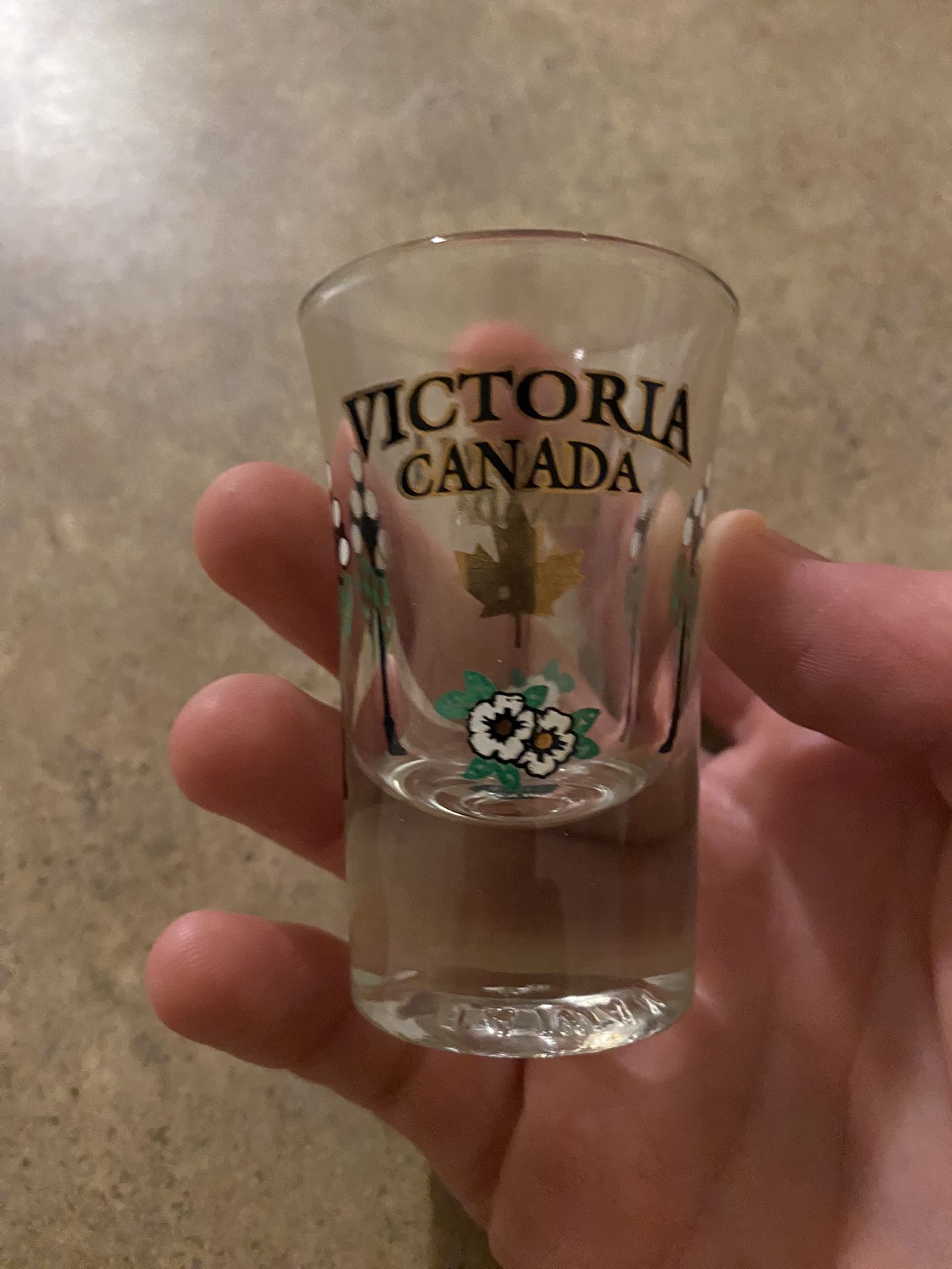 Victorica Canada Clear Shot- Glass