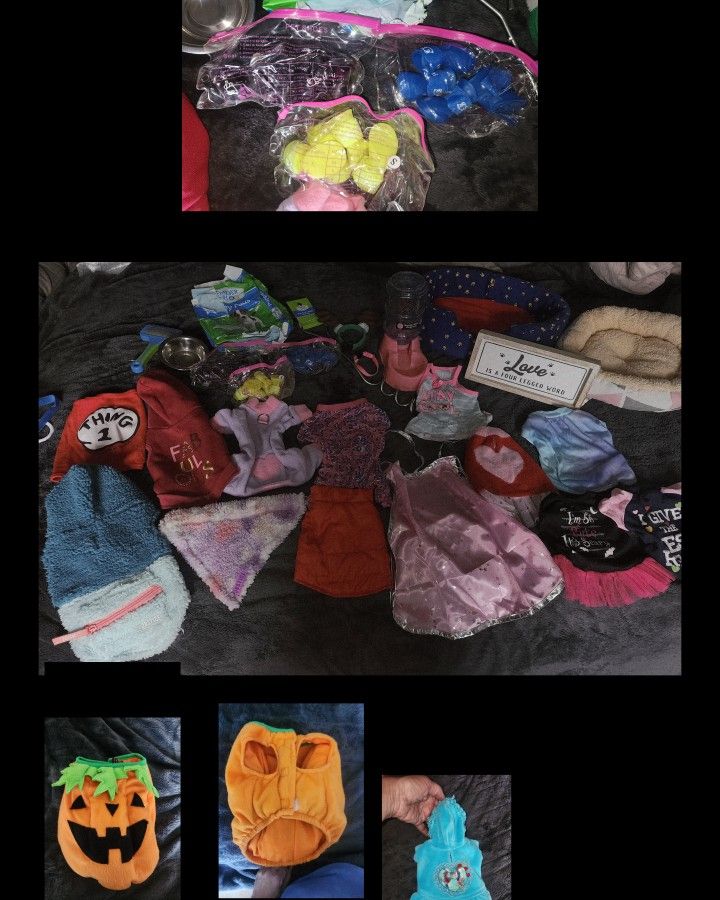 Sz Small Dog Lot